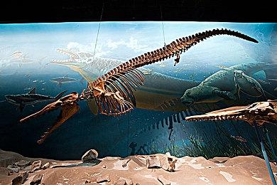 《永劫无间》职业联赛NBPL常规赛第三双周7月2日赛事